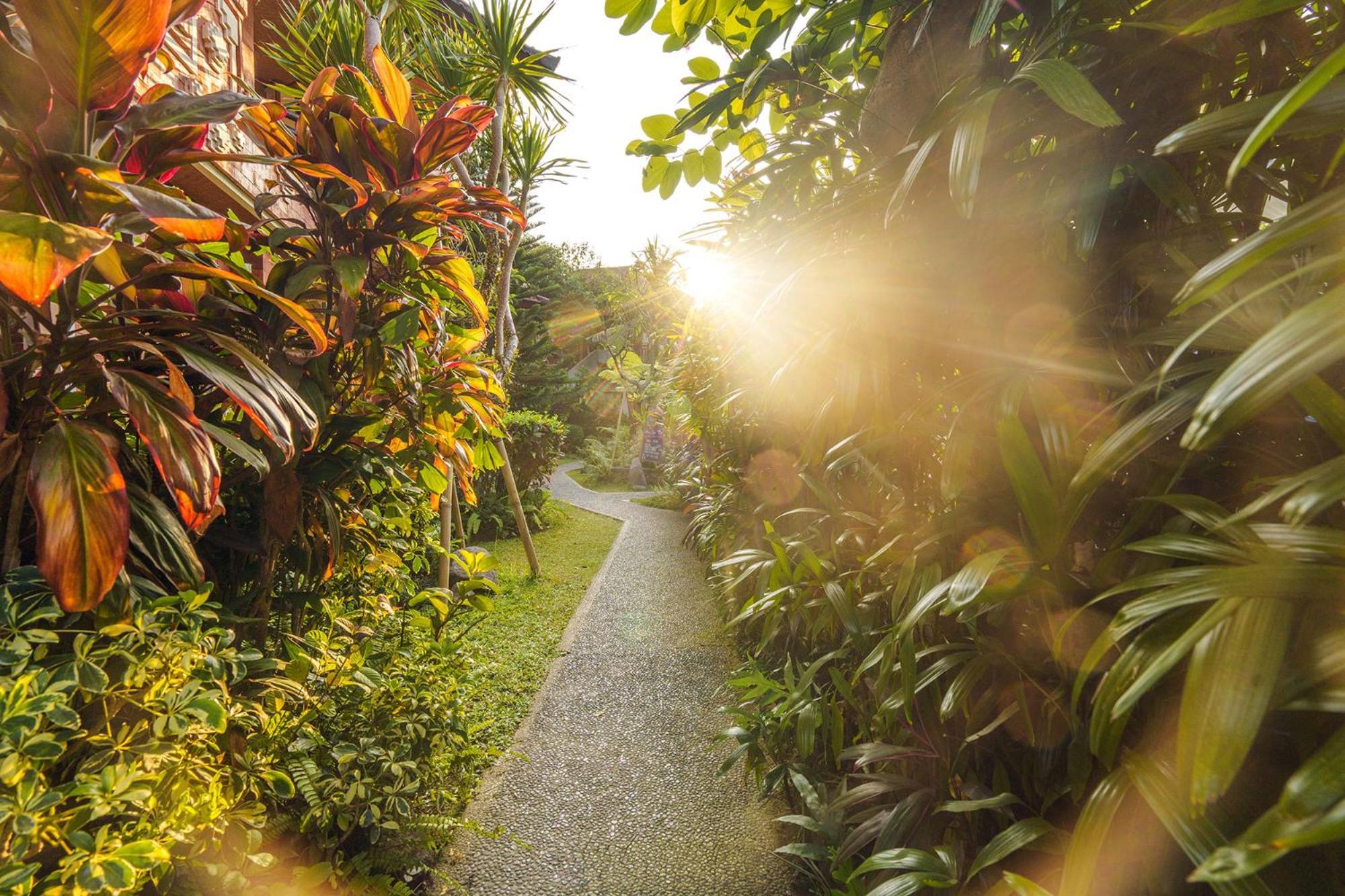 Rama Phala & Ubud